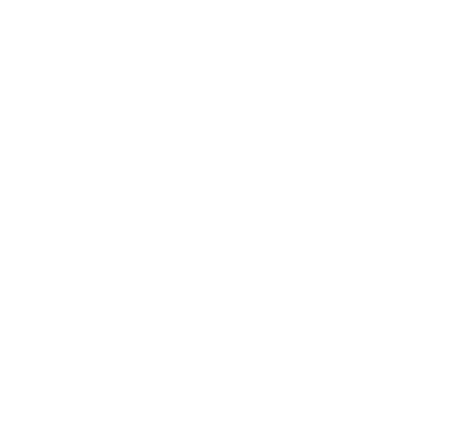 Wellington Bleu's Bar Stylized Text